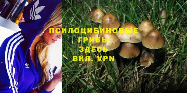 марки nbome Дмитриев