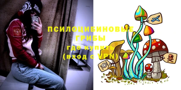марки nbome Дмитриев