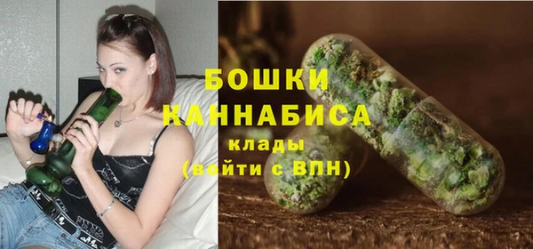 МДПВ Дмитров